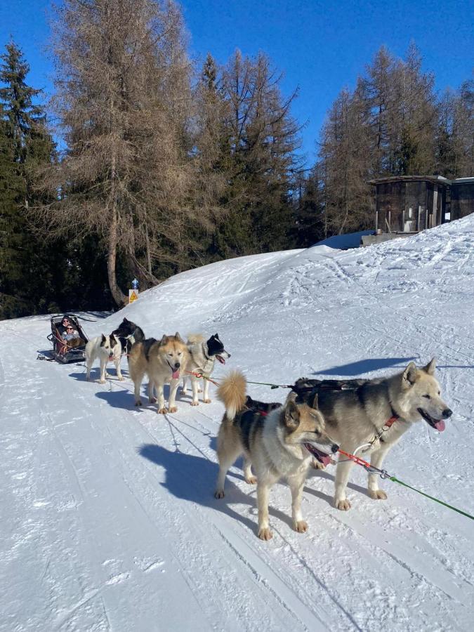 Апартаменты Plagne Bellecote - 5 Pers - Vue Pistes - Acces Piscine Chauffee Ла-Плань Экстерьер фото